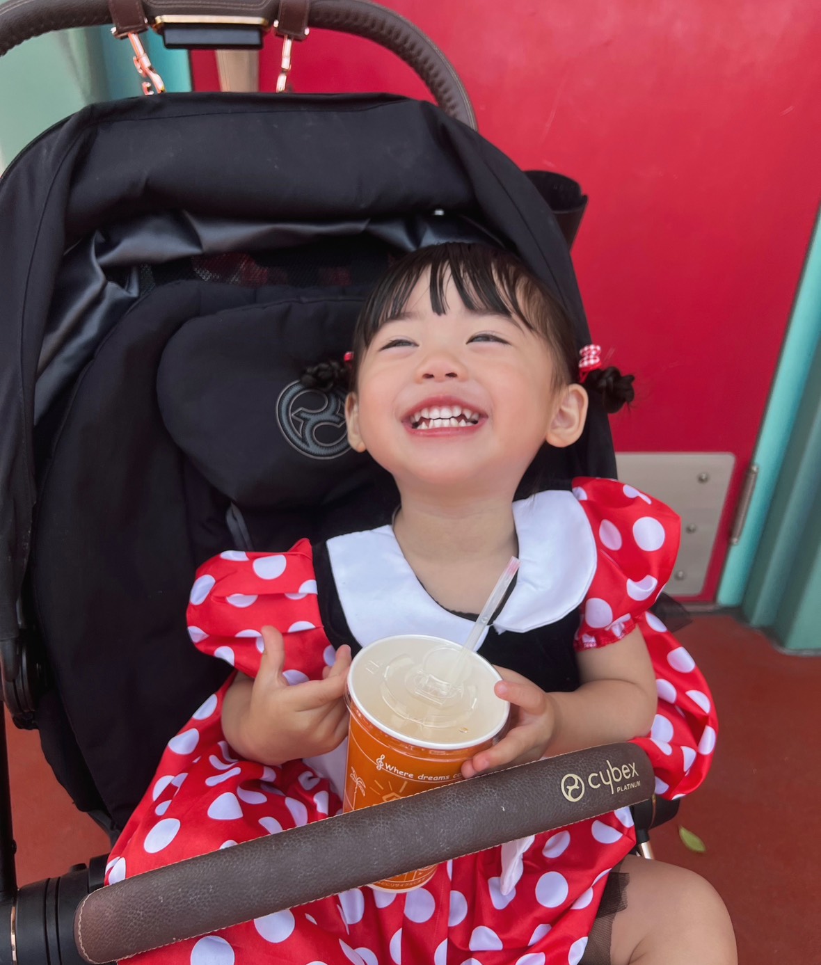 ミニーちゃんにハグ！初めてのディズニーランド